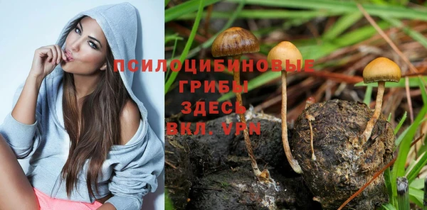 скорость mdpv Абаза